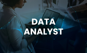 Data Analyst Training Online